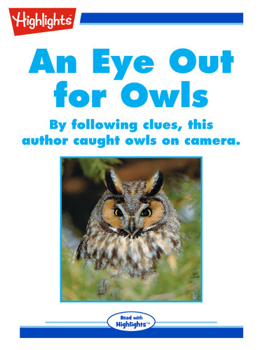 An Eye Out for Owls
