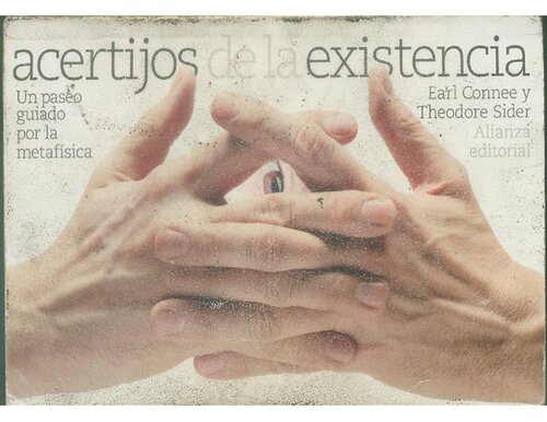 Acertijos de la existencia : un paseo guiado por la metafísica