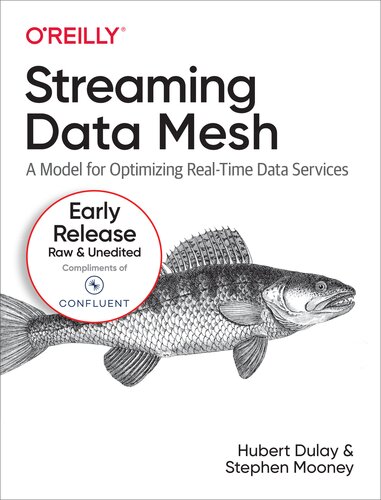 Streaming Data Mesh (8th Early Release)