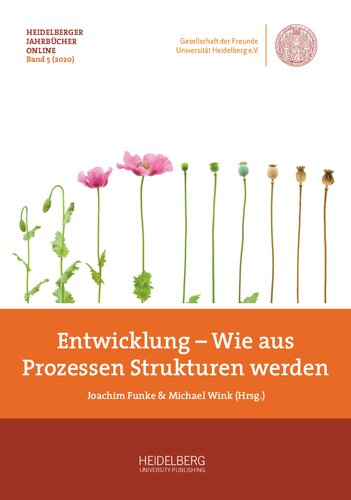 Entwicklung – Wie aus Prozessen Strukturen werden