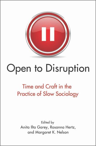 Open to Disruption: Time and Craft in the Practice of Slow Sociology