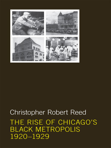 The Rise of Chicago's Black Metropolis, 1920-1929