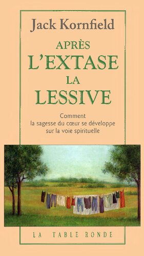 Après l'extase, la lessive