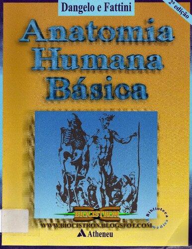 Anatomia humana básica