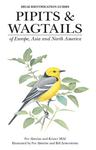 Pipits and Wagtails of Europe, Asia and North America: Identification and Systematics