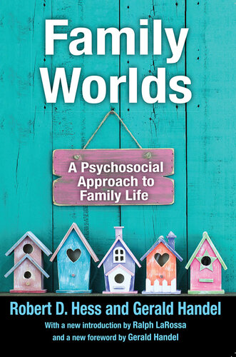 Family Worlds: A Psychosocial Approach to Family Life