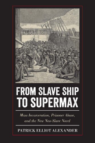 From Slave Ship to Supermax: Mass Incarceration, Prisoner Abuse, and the New Neo-Slave Novel