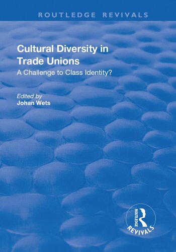 Cultural Diversity in Trade Unions: A Challenge to Class Identity?: A Challenge to Class Identity?