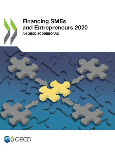 Financing SMEs and Entrepreneurs 2020
