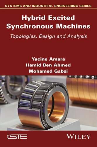 Hybrid Excited Synchronous Machines: Topologies, Design and Analysis
