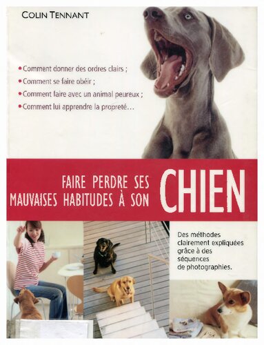 Faire perdre ses mauvaises habitudes à son chien