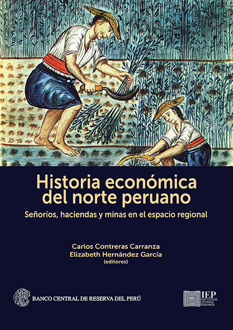 Historia económica del norte peruano. Señoríos, haciendas y minas en el espacio regional.