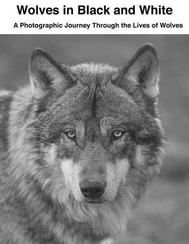 Wolves in Black and White: A Photographic Journey Through the Lives of Wolves