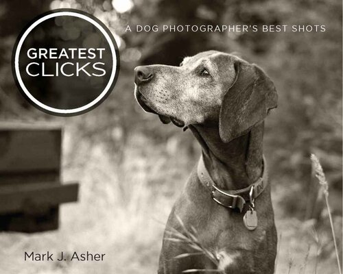 Greatest Clicks: A Dog Photographer's Best Shots