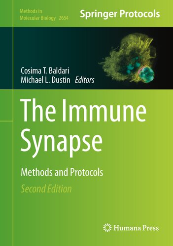 The Immune Synapse: Methods and Protocols