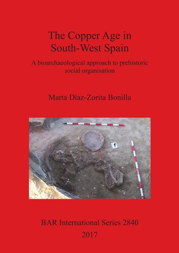 The Copper Age in South-West Spain: A bioarchaeological approach to prehistoric social organisation