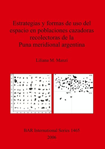 Estrategias y formas de uso del espacio en poblaciones cazadoras recolectoras de la Puna meridional argentina