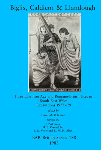 Biglis, Caldicot and Llandough: Three Late Iron Age and Romano-British Sites in South-East Wales. Excavations 1977-79