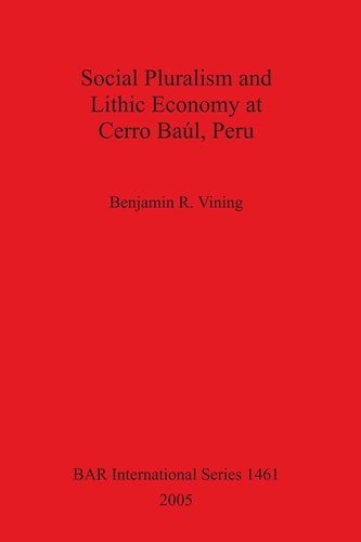 Social Pluralism and Lithic Economy at Cerro Baúl, Peru