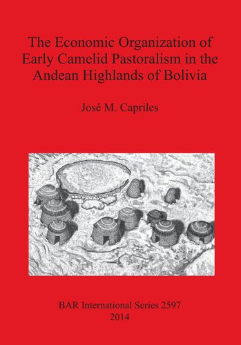 The Economic Organization of Early Camelid Pastoralism in the Andean Highlands of Bolivia