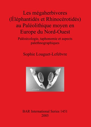 Les mégaherbivores (Éléphantidés et Rhinocérotidés) au Paléolithique moyen en Europe du Nord-Ouest: Paléoécologie, taphonomie et aspects palethnographiques