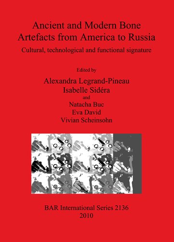 Ancient and Modern Bone Artefacts from America to Russia: Cultural, technological and functional signature