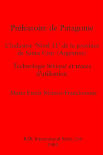 Préhistoire de Patagonie: L'industrie 'Nivel 11' de la province de Santa Cruz (Argentine) : Technologie lithique et traces d'utilisation