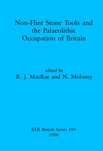 Non-Flint Stone Tools and the Palaeolithic Occupation of Britain