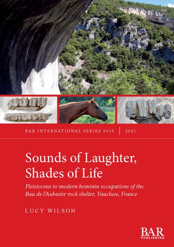 Sounds of Laughter, Shades of Life: Pleistocene to modern hominin occupations of the Bau de l’Aubesier rock shelter, Vaucluse, France