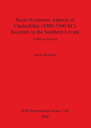 Socio-Economic Aspects of Chalcolithic (4500-3500 BC) Societies in the Southern Levant: A lithic perspective