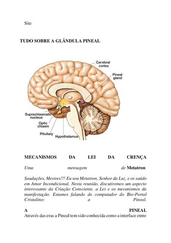 Tudo sobre a glândula pineal: mecanismos da lei da crença