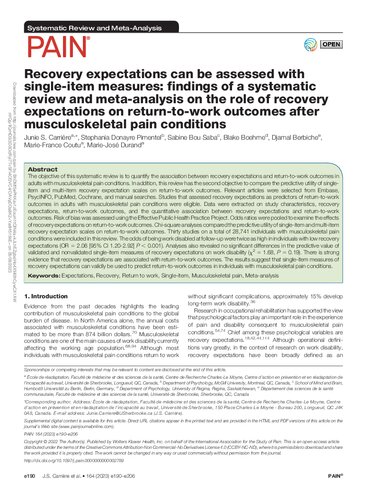 Recovery expectations can be measured with single-item measures: findings of a systematic review and meta-analysis on the role of recovery expectations on return-to-work outcomes following musculoskeletal pain conditions
