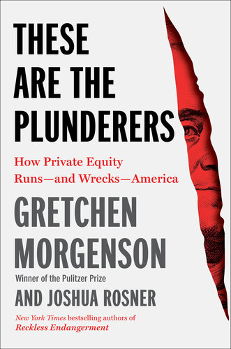 These Are the Plunderers: How Private Equity Runs—and Wrecks—America : How Private Equity Runs—and Wrecks—America