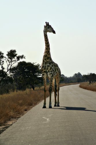 A Short Road Backwards