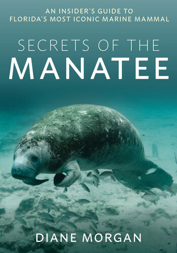 Secrets of the Manatee: An Insider's Guide to Florida’s Most Iconic Marine Mammal