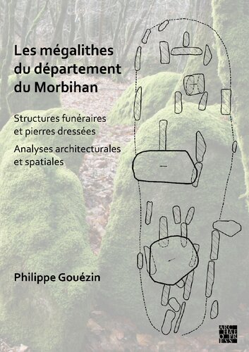 Les mégalithes du département du Morbihan: Structures funéraires et pierres dresses / Analyses architecturales et spatiales