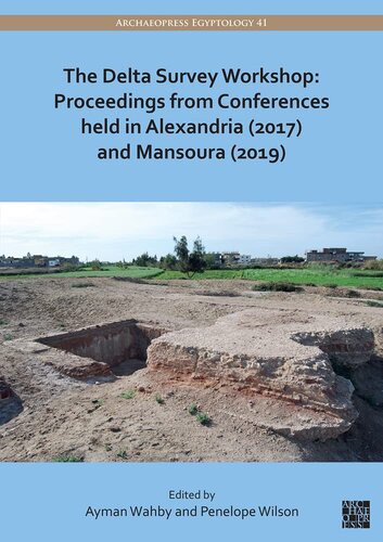 The Delta Survey Workshop: Proceedings from Conferences Held in Alexandria 2017 and Mansoura 2019