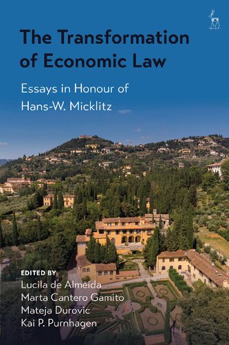 The Transformation of Economic Law: Essays in Honour of Hans-W. Micklitz