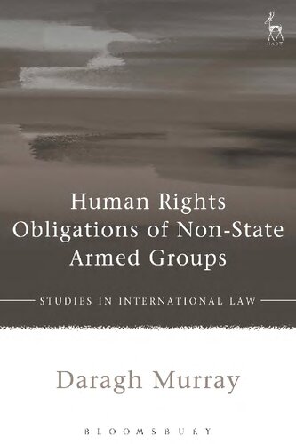 Human Rights Obligations of Non-State Armed Groups