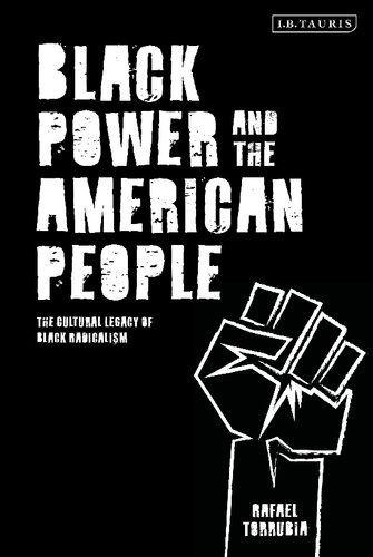 Black Power and the American People: Culture and Identity in the Twentieth Century