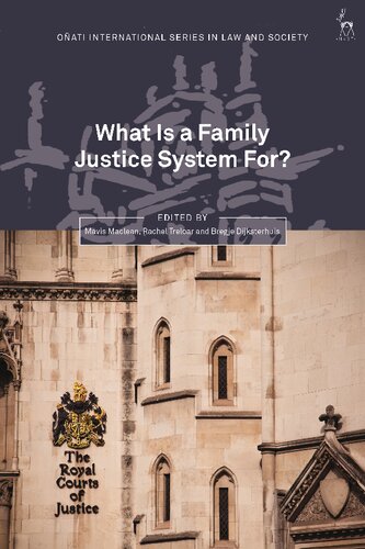What is a Family Justice System For?