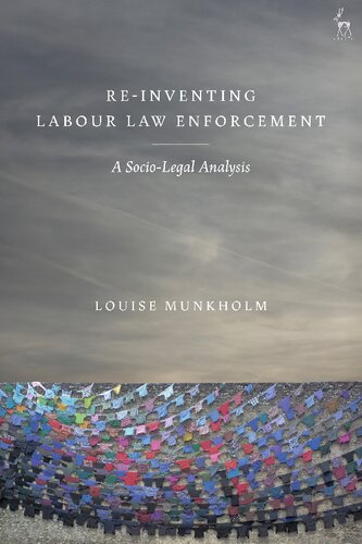 Re-Inventing Labour Law Enforcement: A Socio-legal Analysis