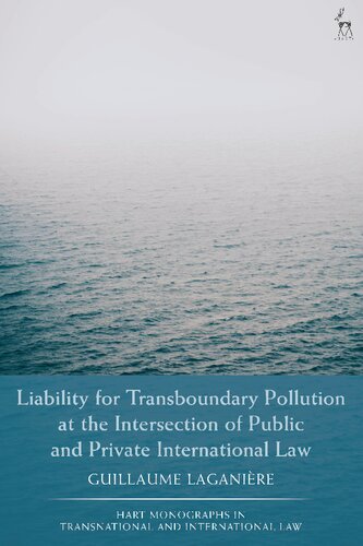 Liability for Transboundary Pollution at the Intersection of Public and Private International Law