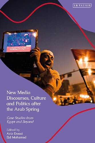 New Media Discourses, Culture and Politics after the Arab Spring: Case Studies from Egypt and Beyond