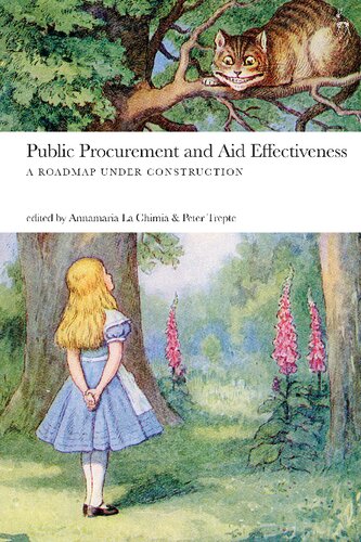 Public Procurement and Aid Effectiveness: A Roadmap under Construction