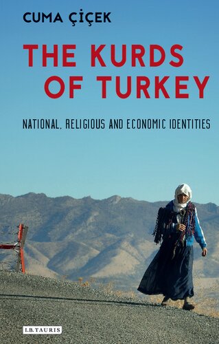 The Kurds of Turkey: National, Religious and Economic Identities