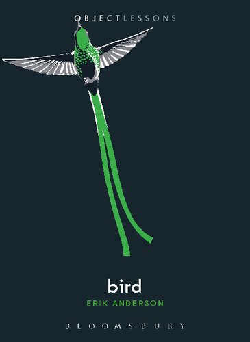 bird