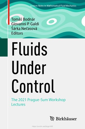 Fluids Under Control: The 2021 Prague-Sum Workshop Lectures