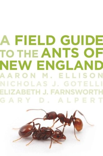 A Field Guide to the Ants of New England