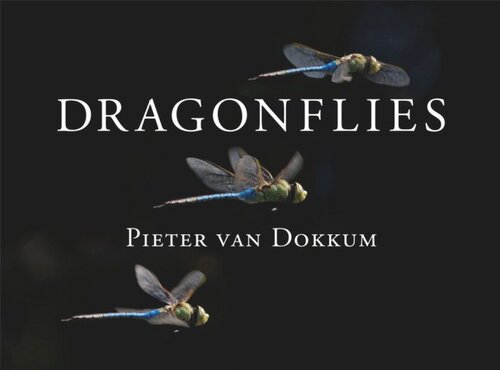 Dragonflies: Magnificent Creatures of Water, Air, and Land